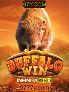 Desvendando os Segredos de BuffaloWin